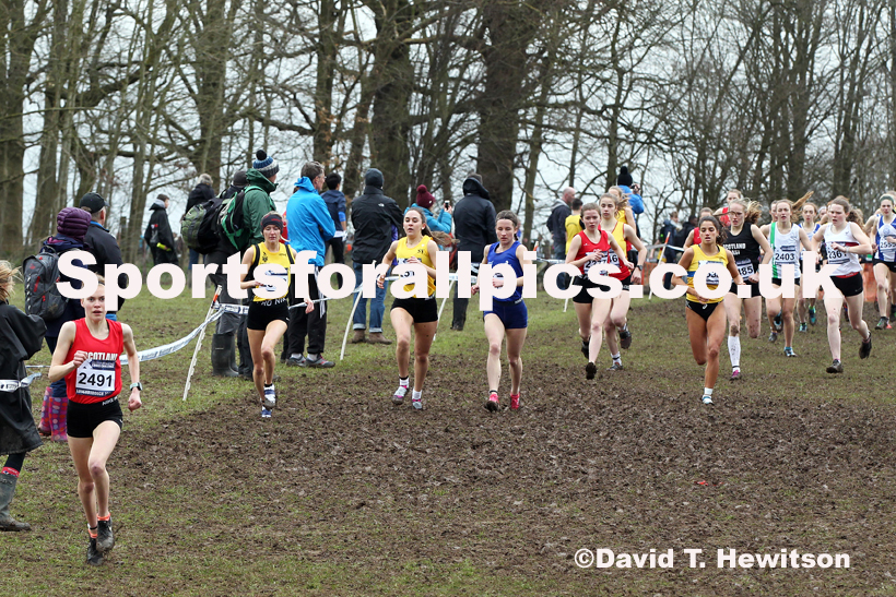 Womens under-20s, 2020 British Athletics Inter Counties Cross Country Champs., Prestwold Hall, Loughborough. Photo: David T. Hewitson/Sports for All Pics